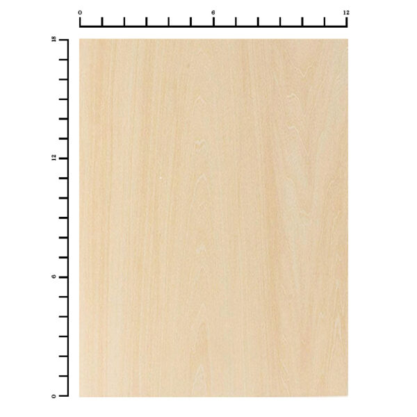 12x18 Birch Plywood