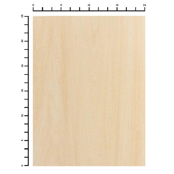24x36 Birch Plywood