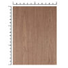 12x18 Walnut Plywood