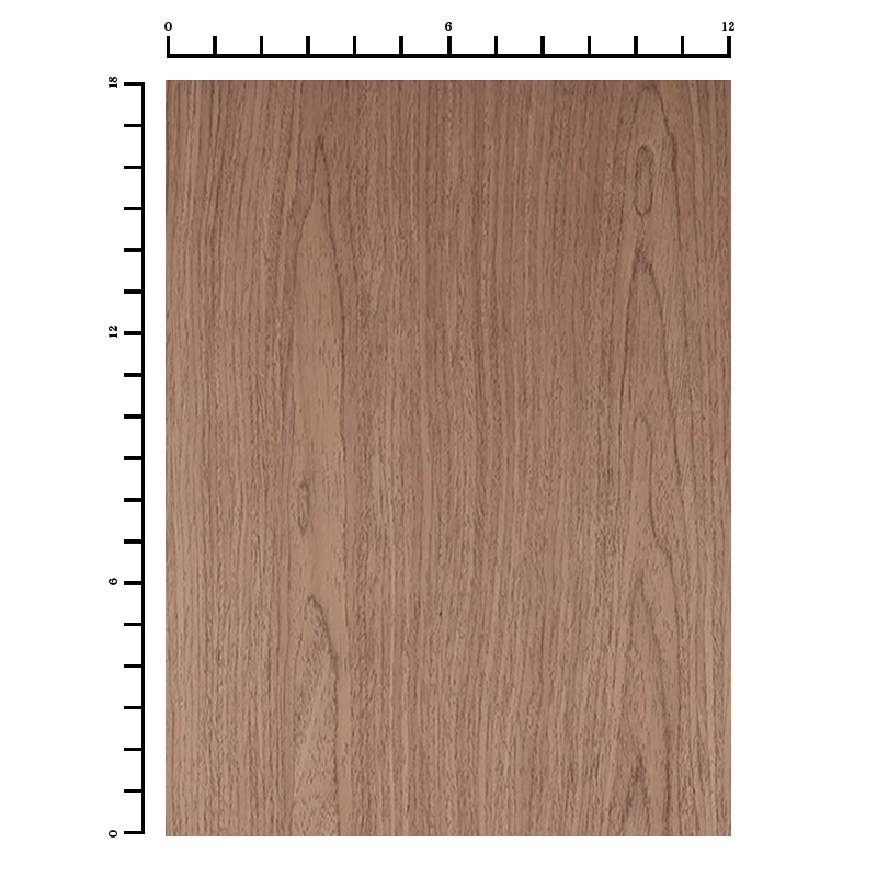 Walnut 12×18
