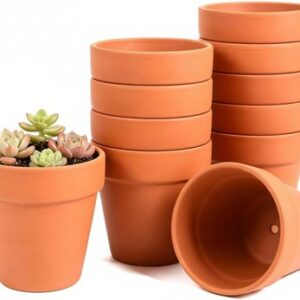 Terracotta Clay Pots - 4" - 6" - 8"